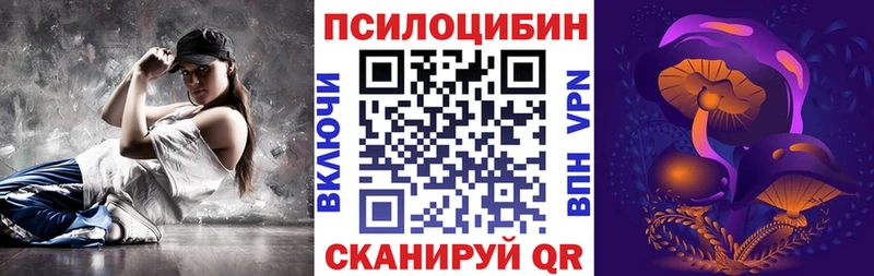 Купить где  Венёв  Псилоцибиновые грибы Cubensis 